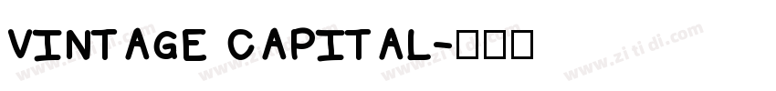 vintage capital字体转换